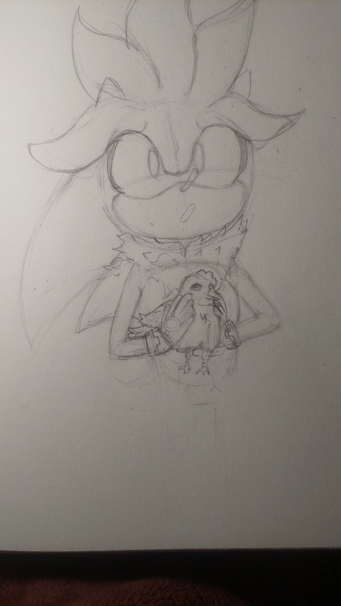 rOosyy55's tweet image. I have something with chickens since I adopted one, Likewise, I just wanted to post this bye :b
#silverthehedgehog  #chickens