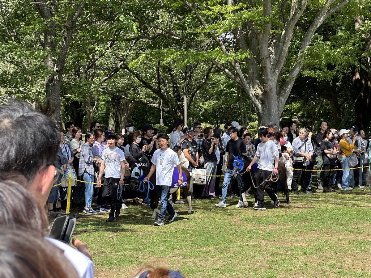 yutason's tweet photo. コジュウがんばれ〜！！ https://t.co/CgLA1e7aOp