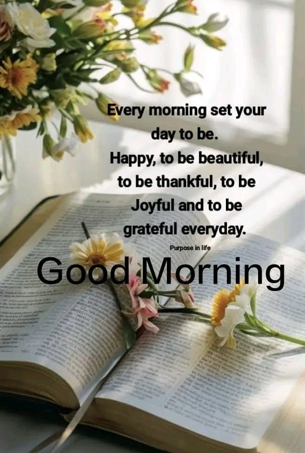 AnnGeo19's tweet photo. Happy Morning 🍁🎶🍁🎶🍁 https://t.co/P7Ks69NBbc