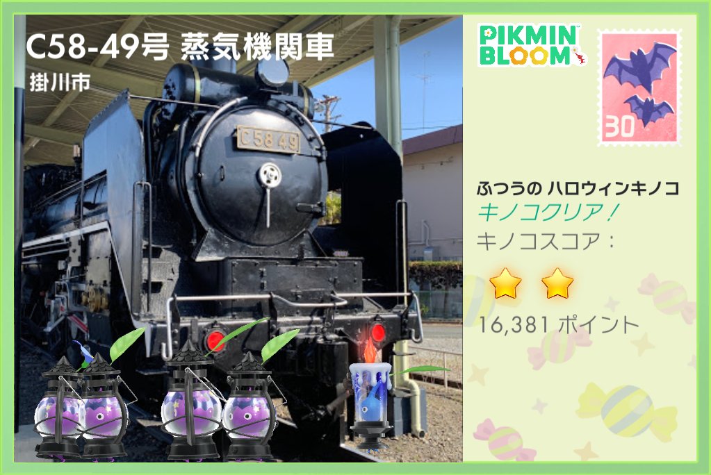 アンジェリア（Ｃ） tweet media