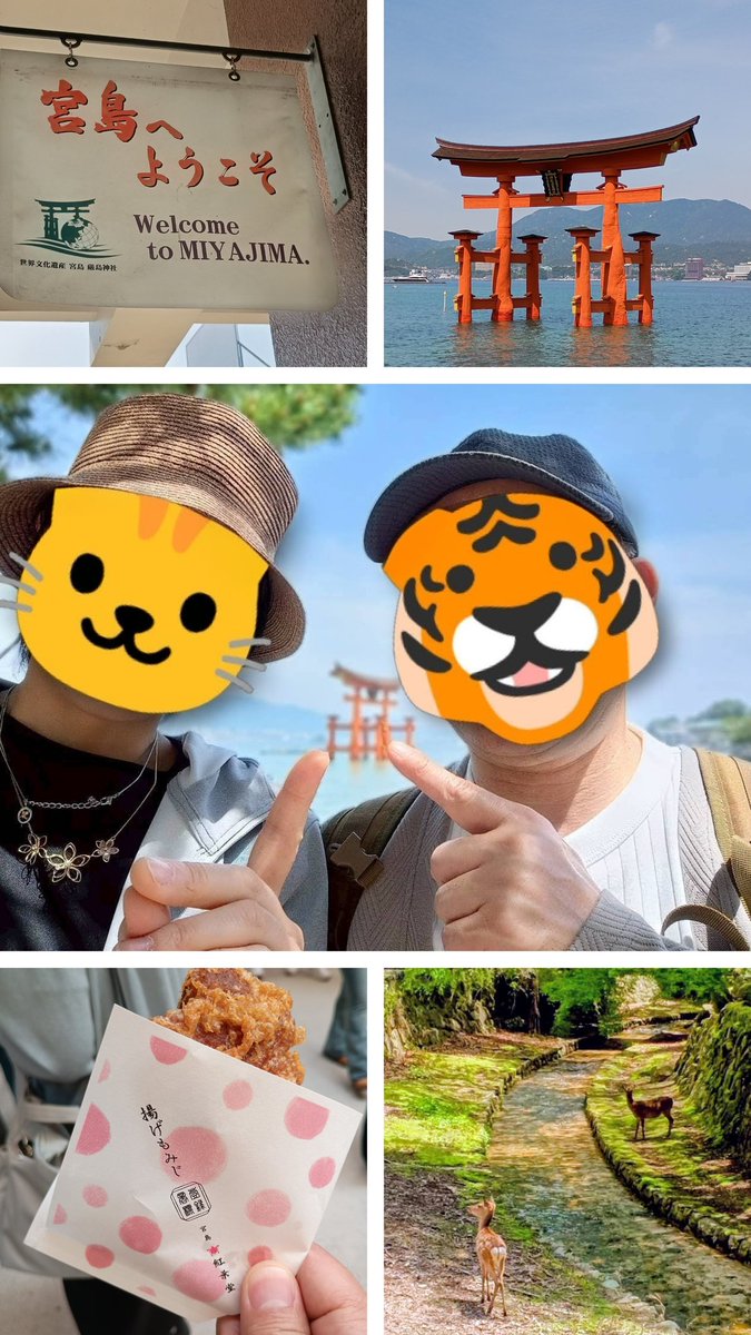 とらじ tweet media