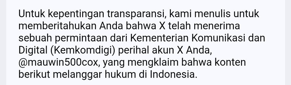 dididodo tweet media