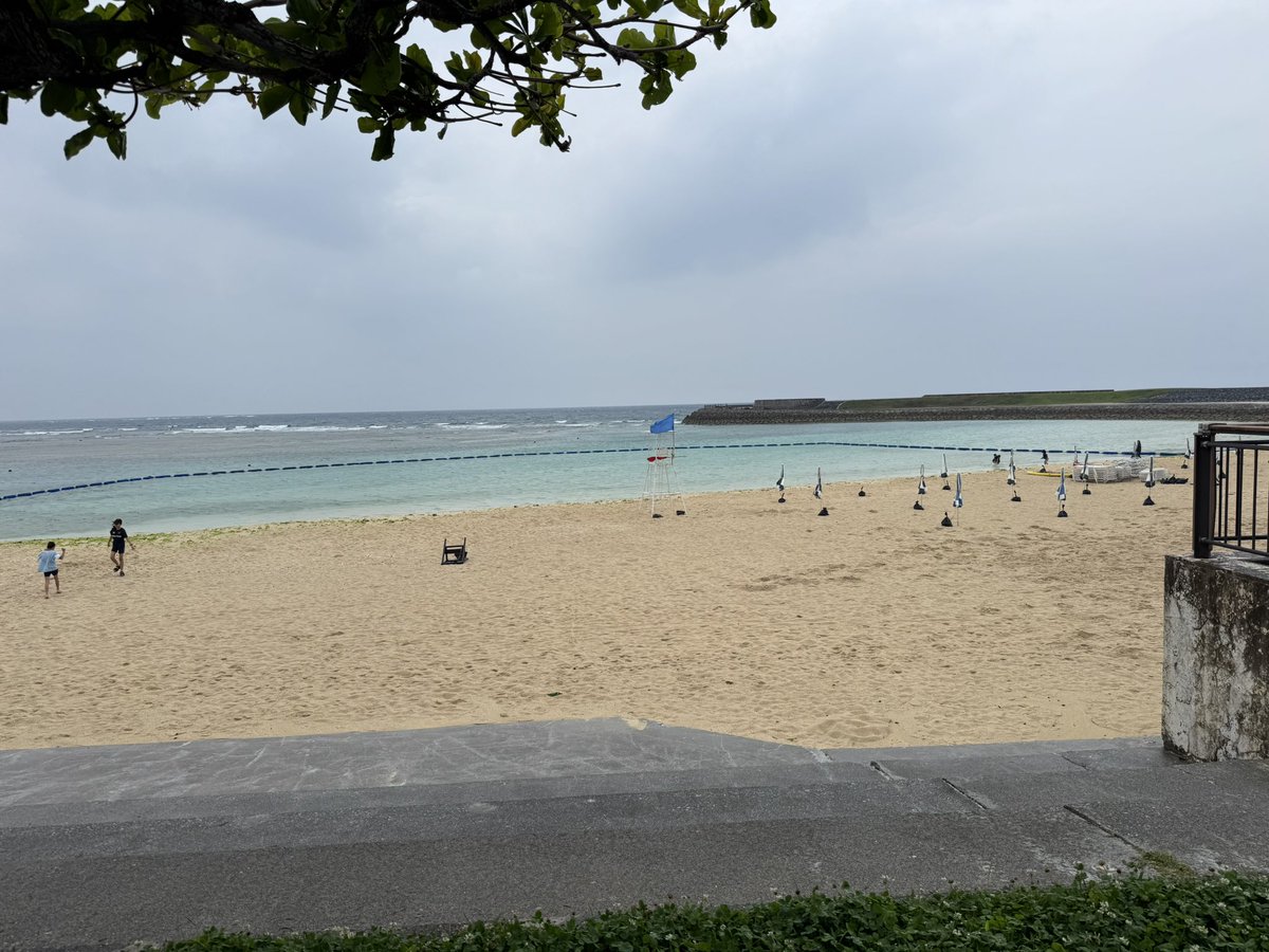 かえで tweet media