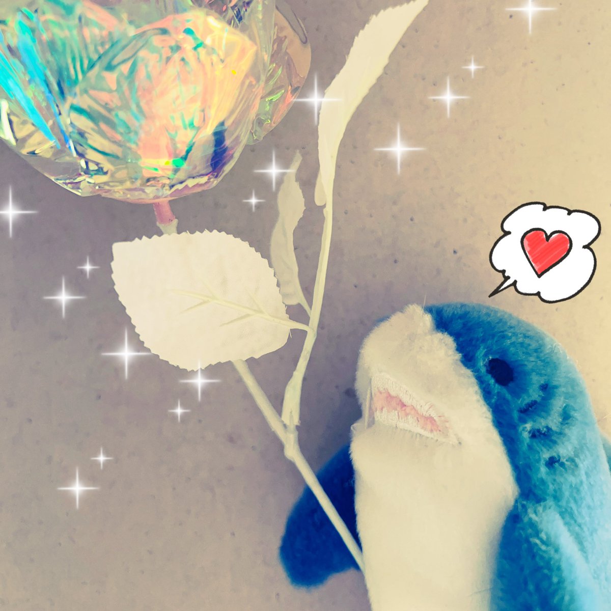 michan8686's tweet image. @MiyuKi_C_A 
ぺちゃん色々ありがとう🫶
🤍🌹

#サメじゃないよ
#シャチだよ
#Nexus