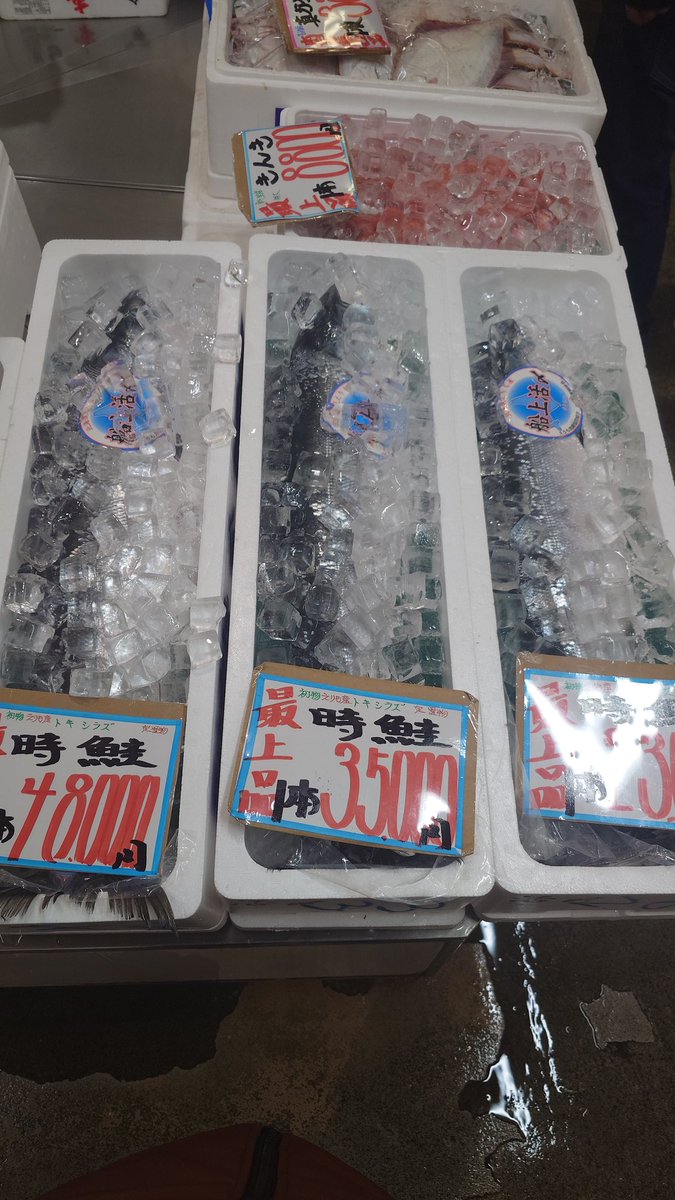 ベンティ徳川🐖 tweet media