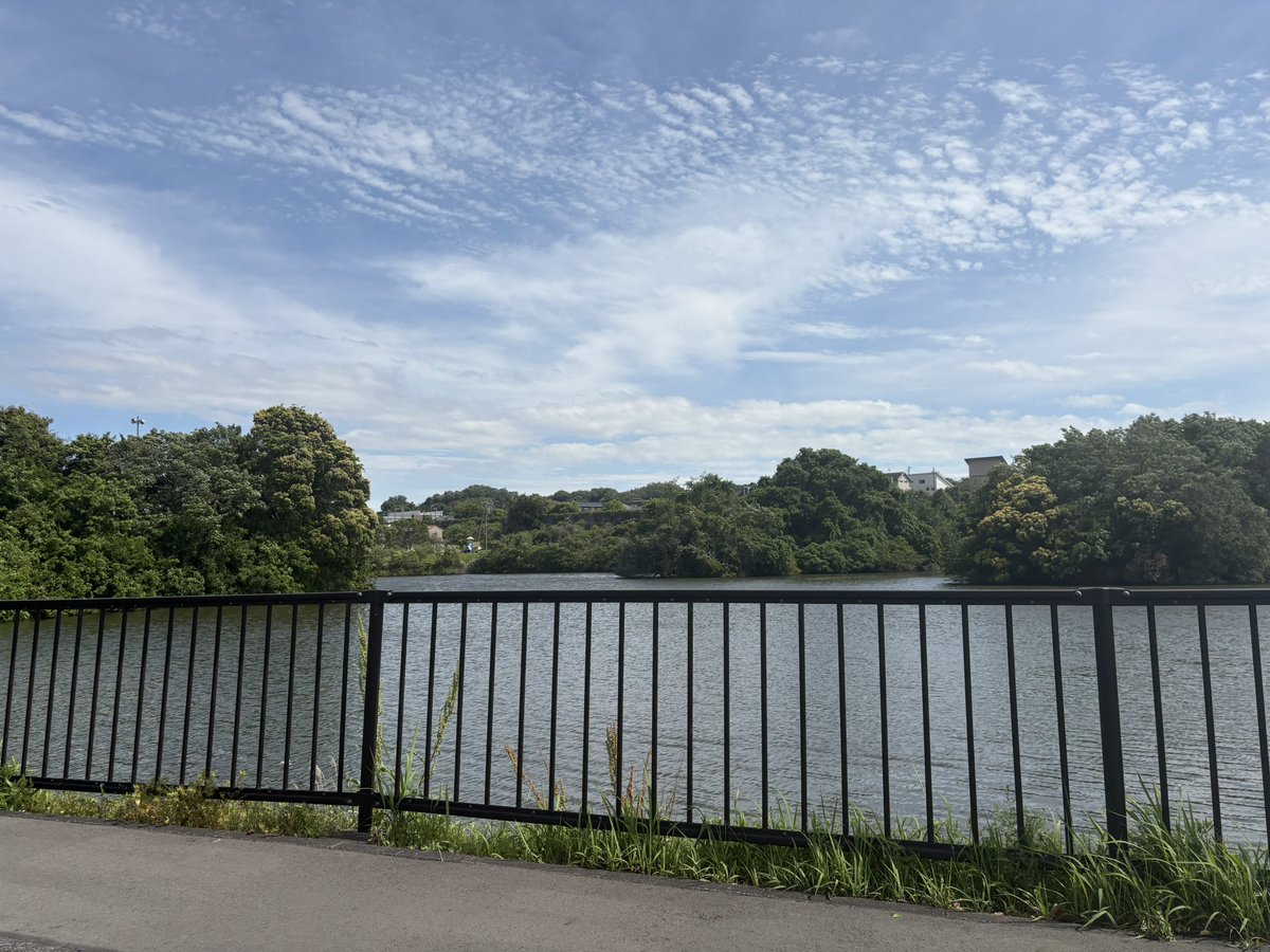 タカワン 壱参heads tweet media