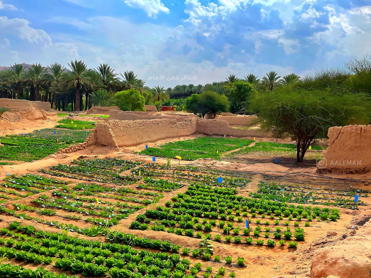 عبدالرحمن | AbdAlrhmAn tweet media