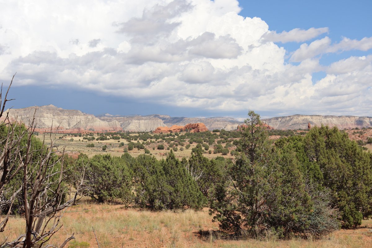 manuelacasasoli's tweet image. From my hikes...

When the view is exactly what you were looking for.

Utah - 2023

Have a good day!

#hiking #adventures #nature #desert #landscapes