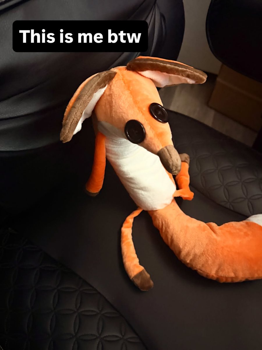 🍁 𝓣𝓱𝓮 𝓕𝓸𝔁 𝓛𝓲𝓯𝓮 🌾🦊 (@thefoxlife) on Twitter photo 