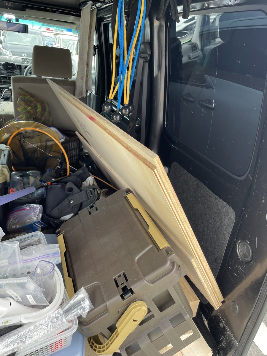 水槽屋 tweet media