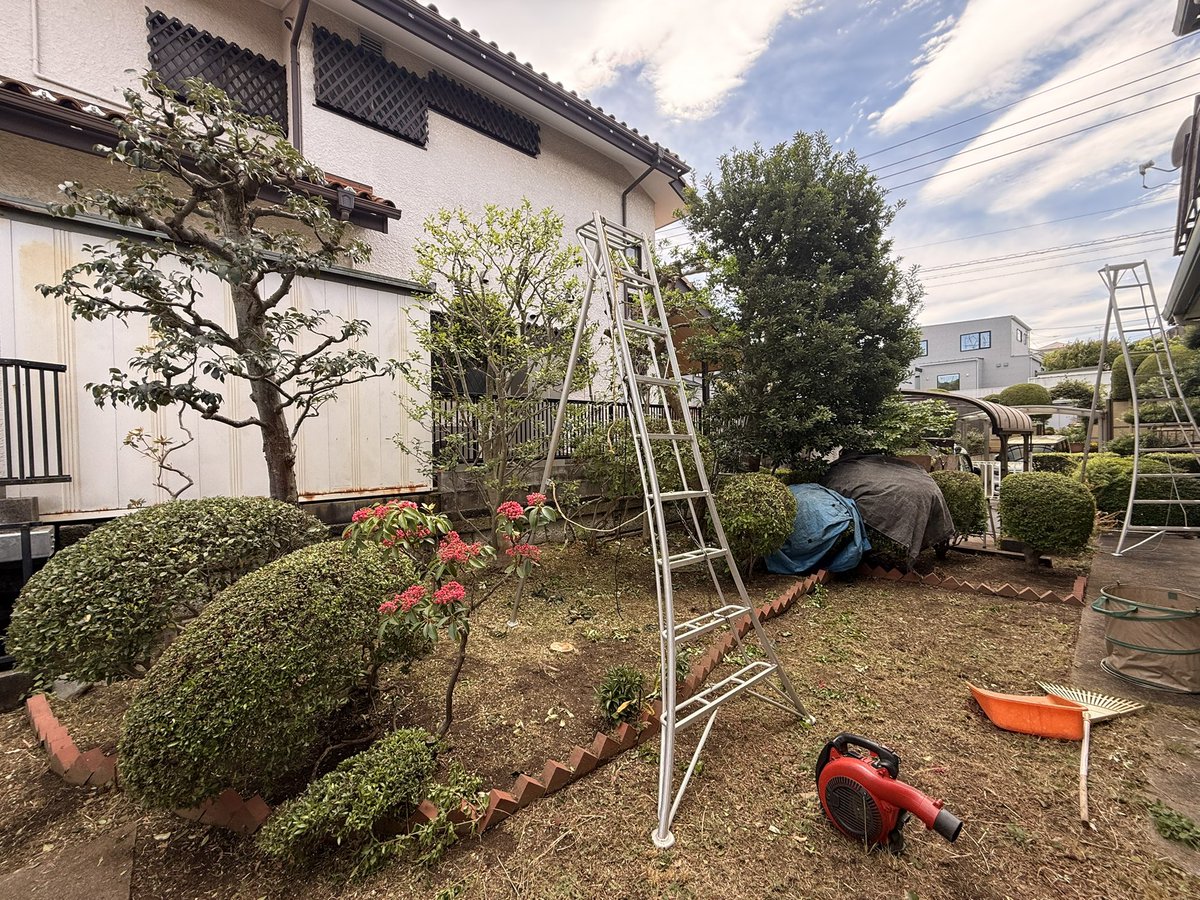 横浜の植木屋 にわっち tweet media