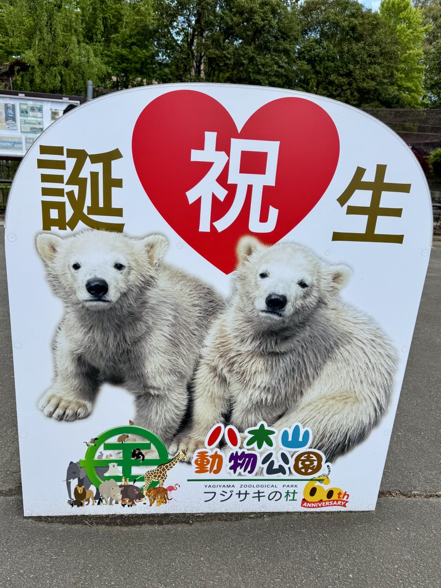 ささなき tweet media