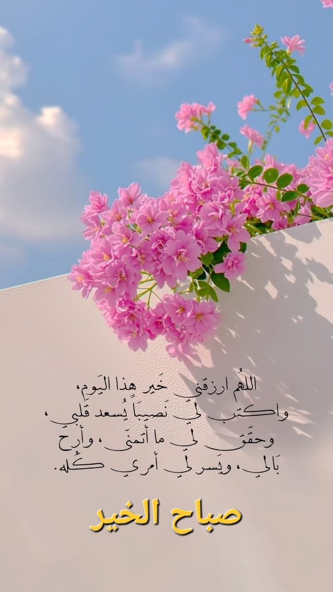 علي الرمثي tweet media