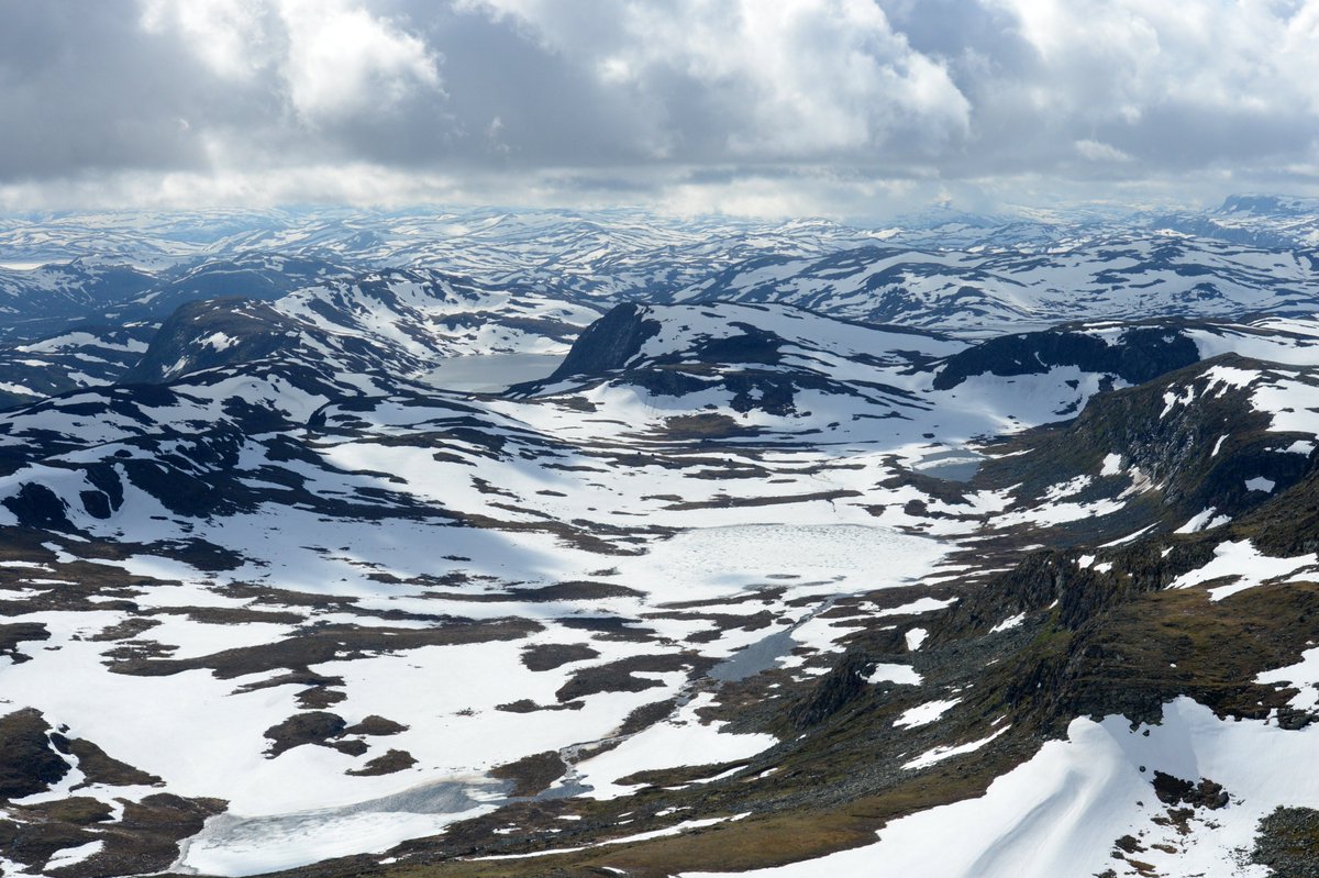 lassetur_n's tweet image. Nature
It may seem endless, but it is not. Vast high mountain terrain with towering peaks. Ice, snow, and the constant presence of cold wind.

50701729
#Nature #Norway #lassetur