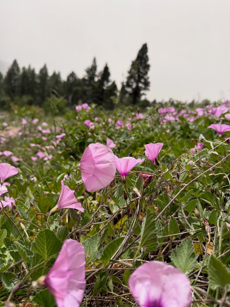 gymxplus's tweet image. spring is such an amazing time 🤍🌸

©️Credit ig @onlyvans.adventure

#fit #fitness #fitgirl #fitnessgirl #gym #fitnessmodel #workout #squat #sportgirl #abs #glute #glutesworkout #glutegains #hip #leg #legs #legday #bodypositive #backtraining #walking #beach #bikini #bikinimodel