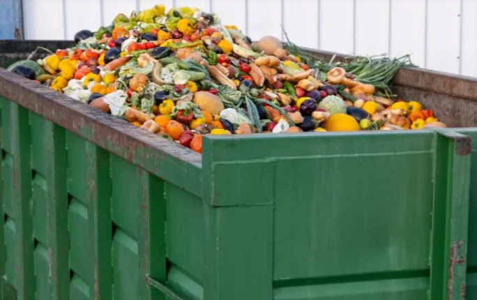 SolidGreen_SA's tweet photo. South Africa wastes nearly one third of its food while millions go hungry.

This is not just waste. It is a systems failure.

The solution lies in circular thinking and smarter design.

Read more: https://t.co/5sOSfPpQay

#SolidGreen #CircularEconomy #FoodWaste https://t.co/R1NRZoPA5e