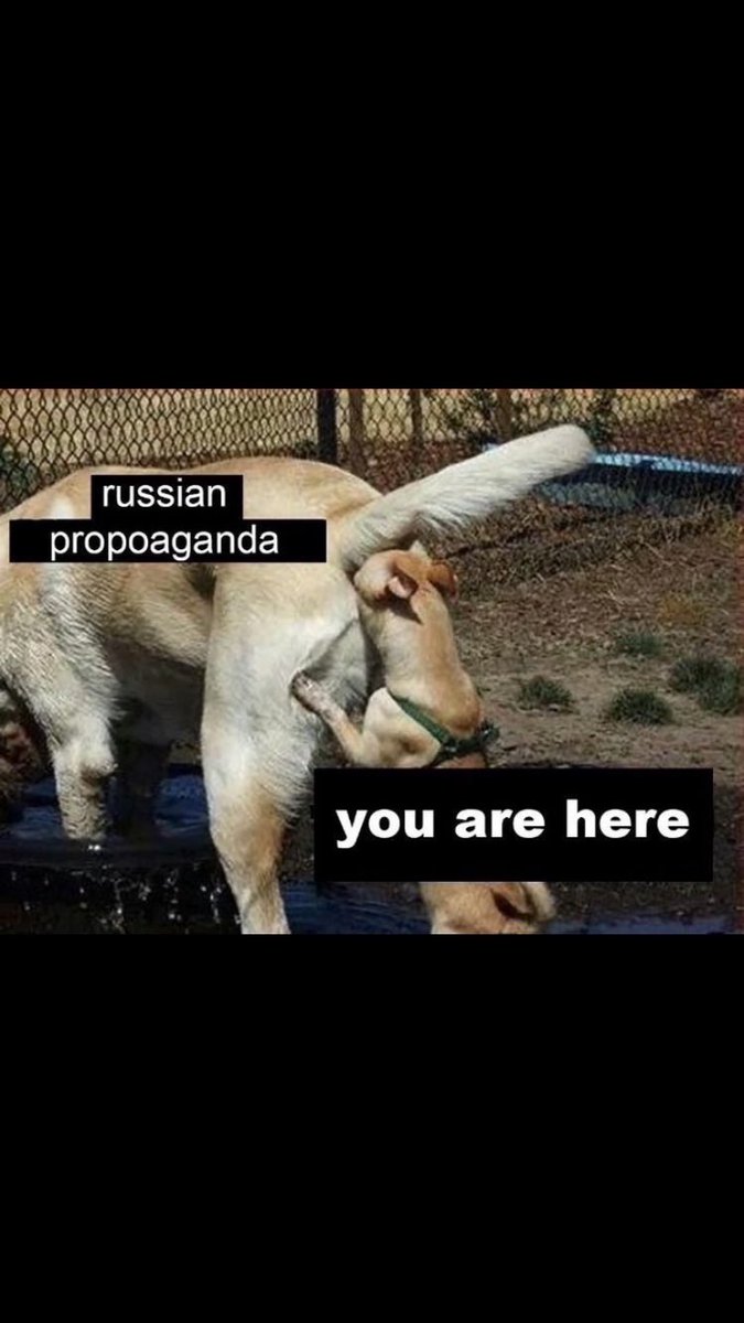 Decoy Fella 🇩🇰 tweet media