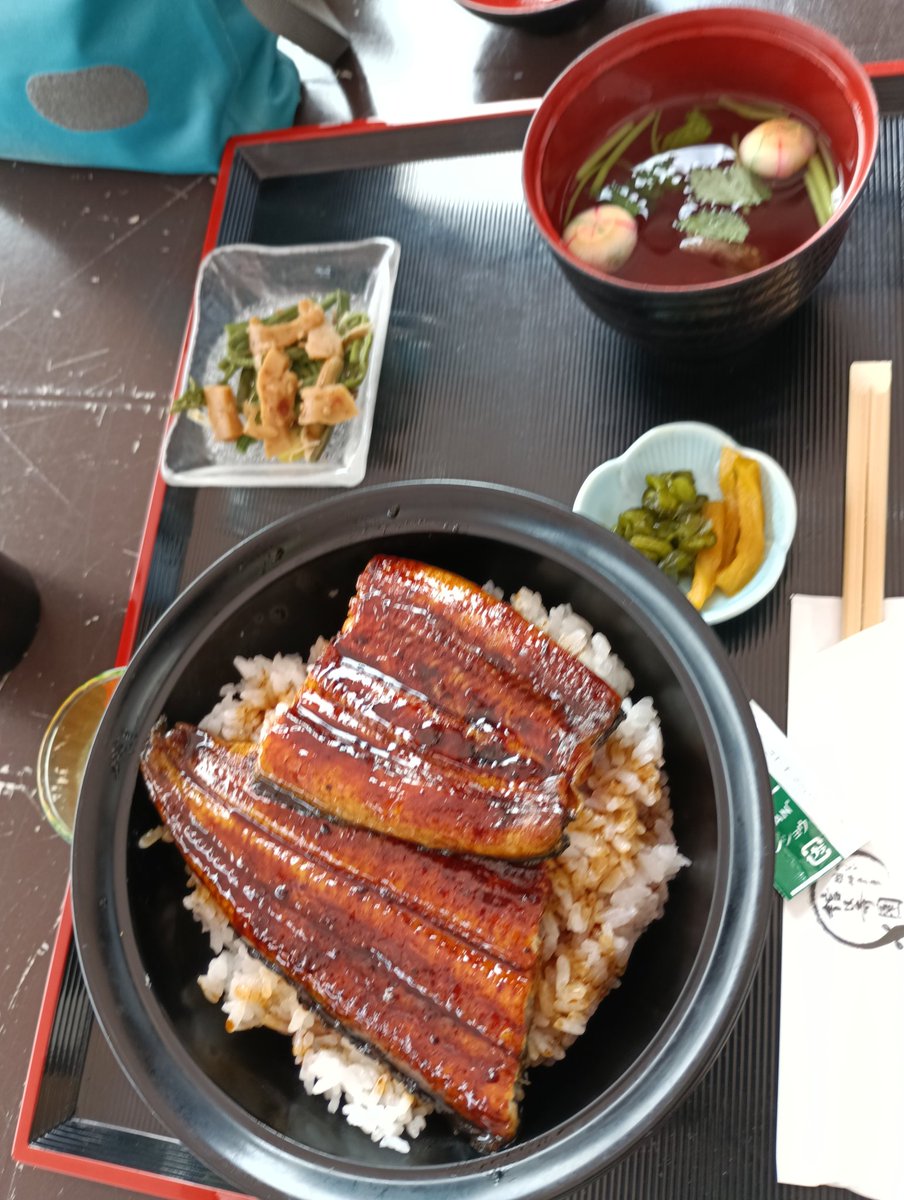 Tokimi@NagoasCapoeira浜松 tweet media