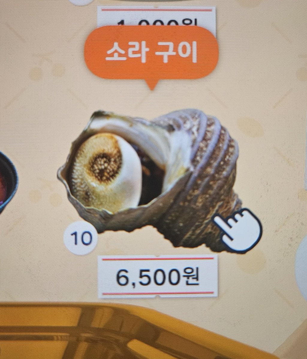handa_pri's tweet photo. 소라 구이(6500원)       소라 구이(5000원) https://t.co/uncrij1AW5