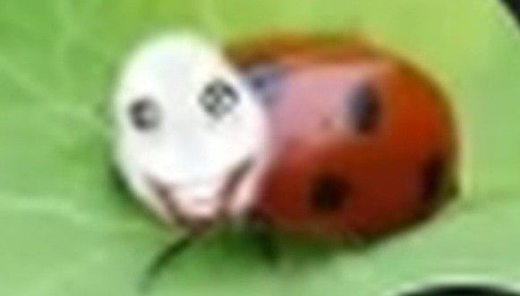 xannprrVT🦠🌾 tweet media
