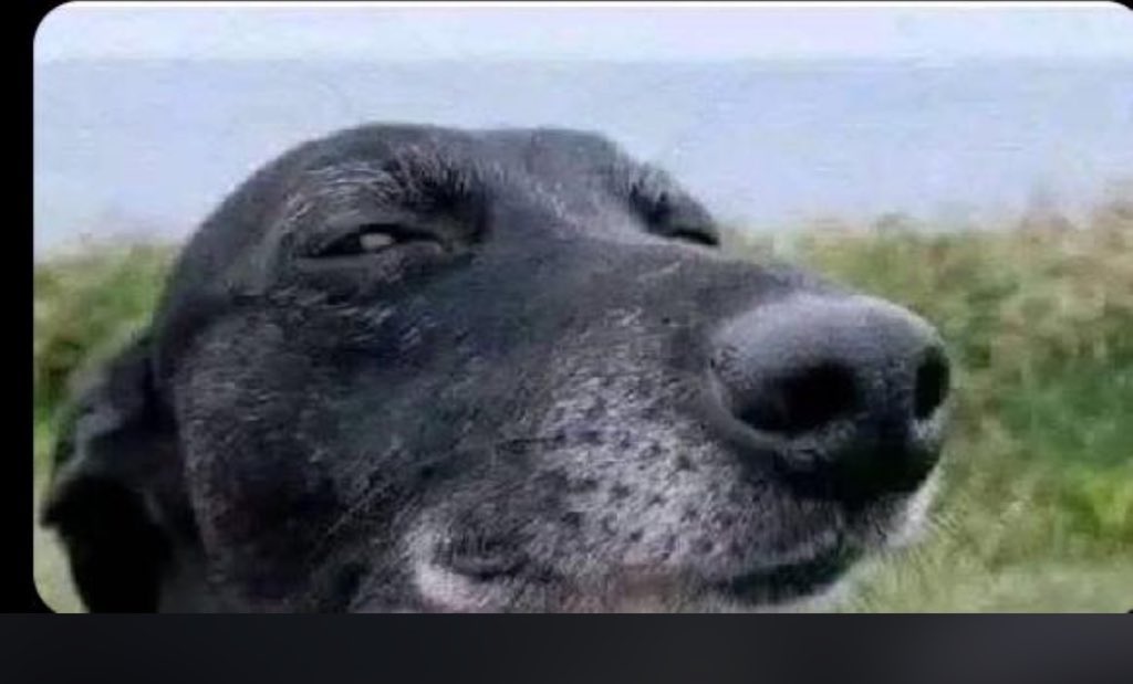 Cathy Akankunda ✨️ tweet media