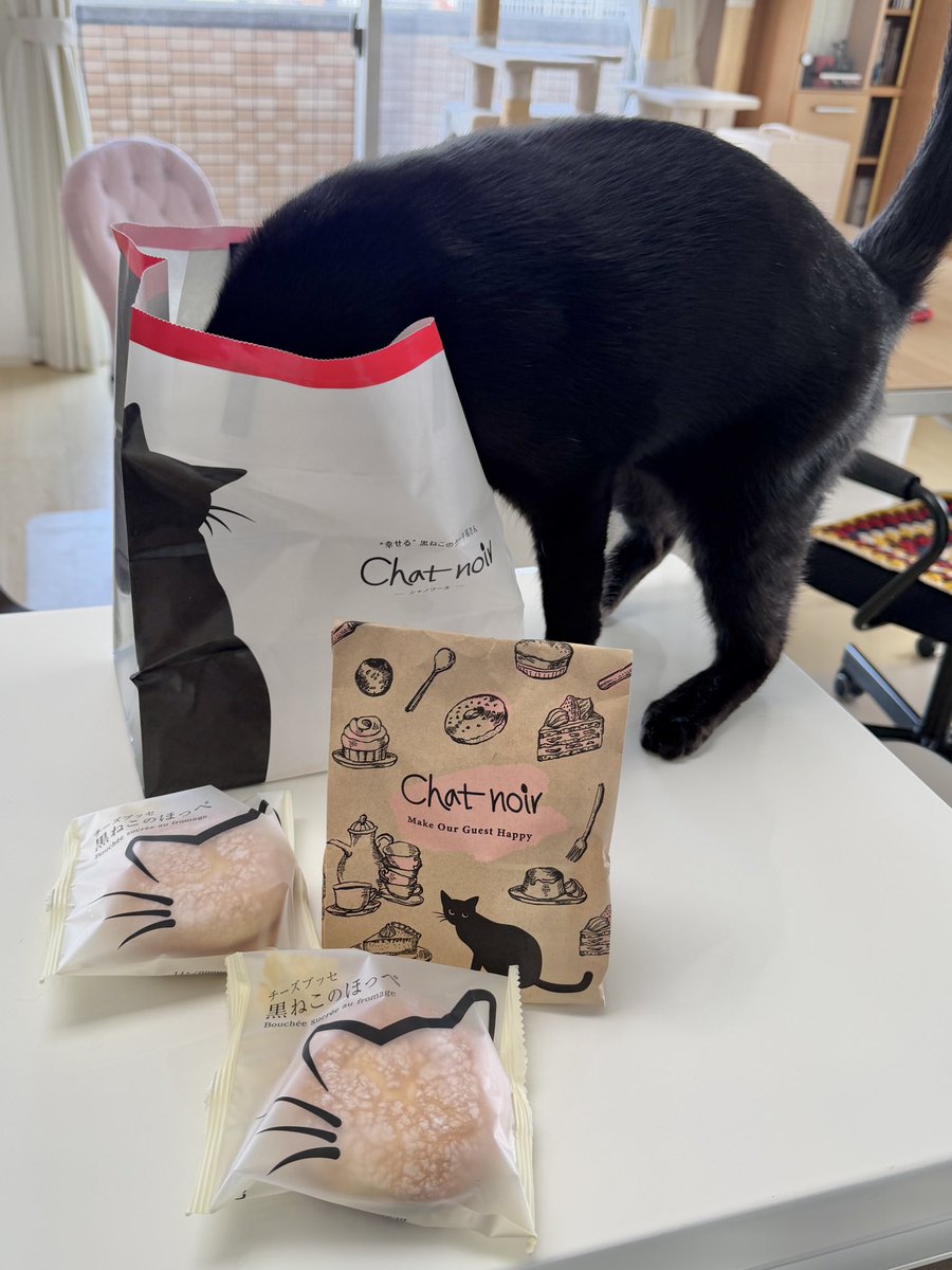 梅子の部屋【黒猫兄妹】 tweet media