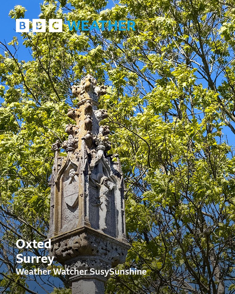 BBCSurrey's tweet image. 💚 #WeatherWatchers #PhotoOfTheDay 📸