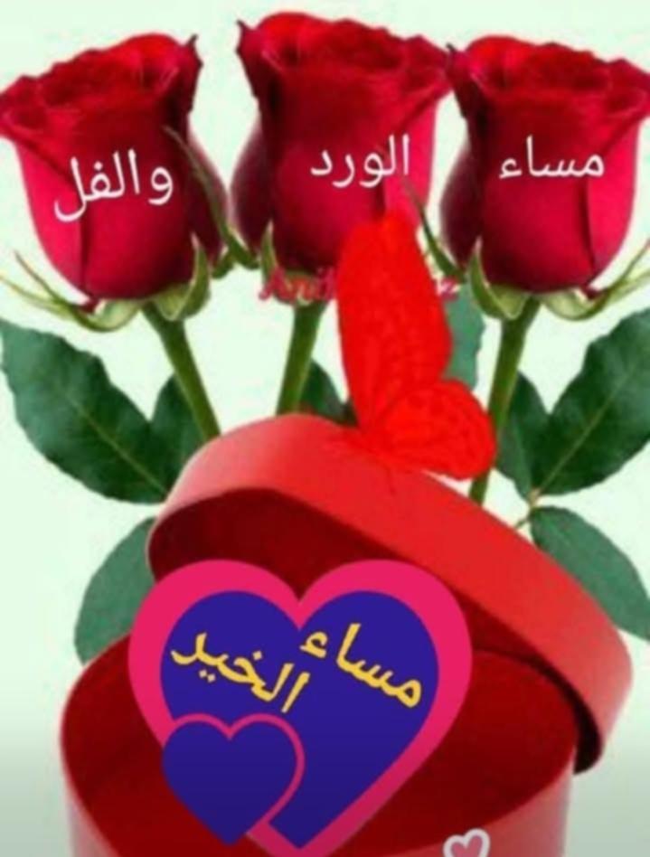 ابو علي العبودي tweet media