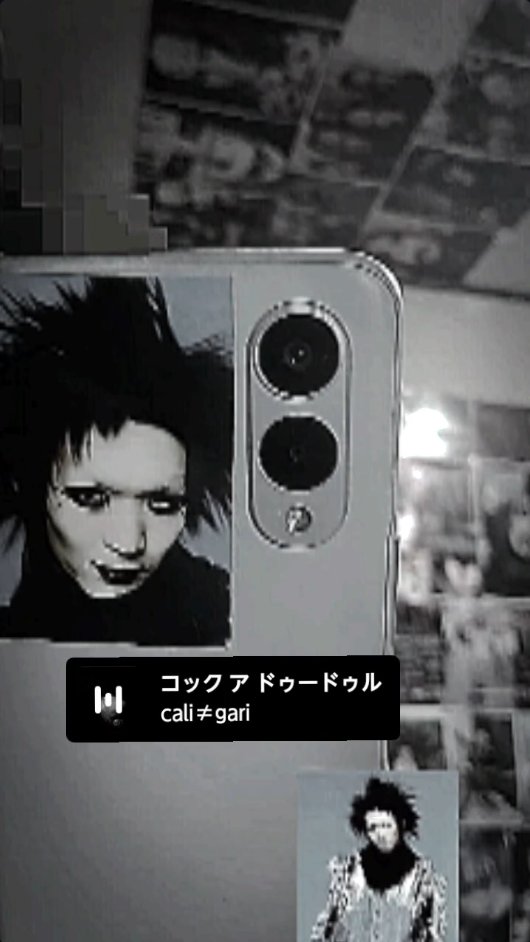 麗 tweet media