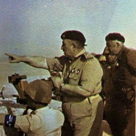 نجمة سهيل tweet media