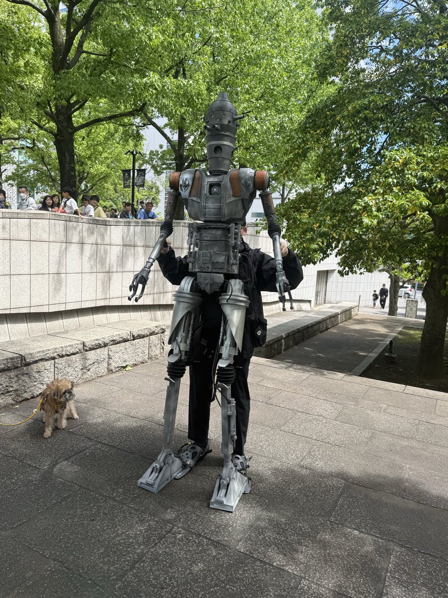 【サシミ】 tweet media