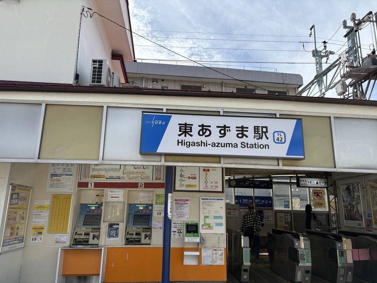 Masayo tweet media