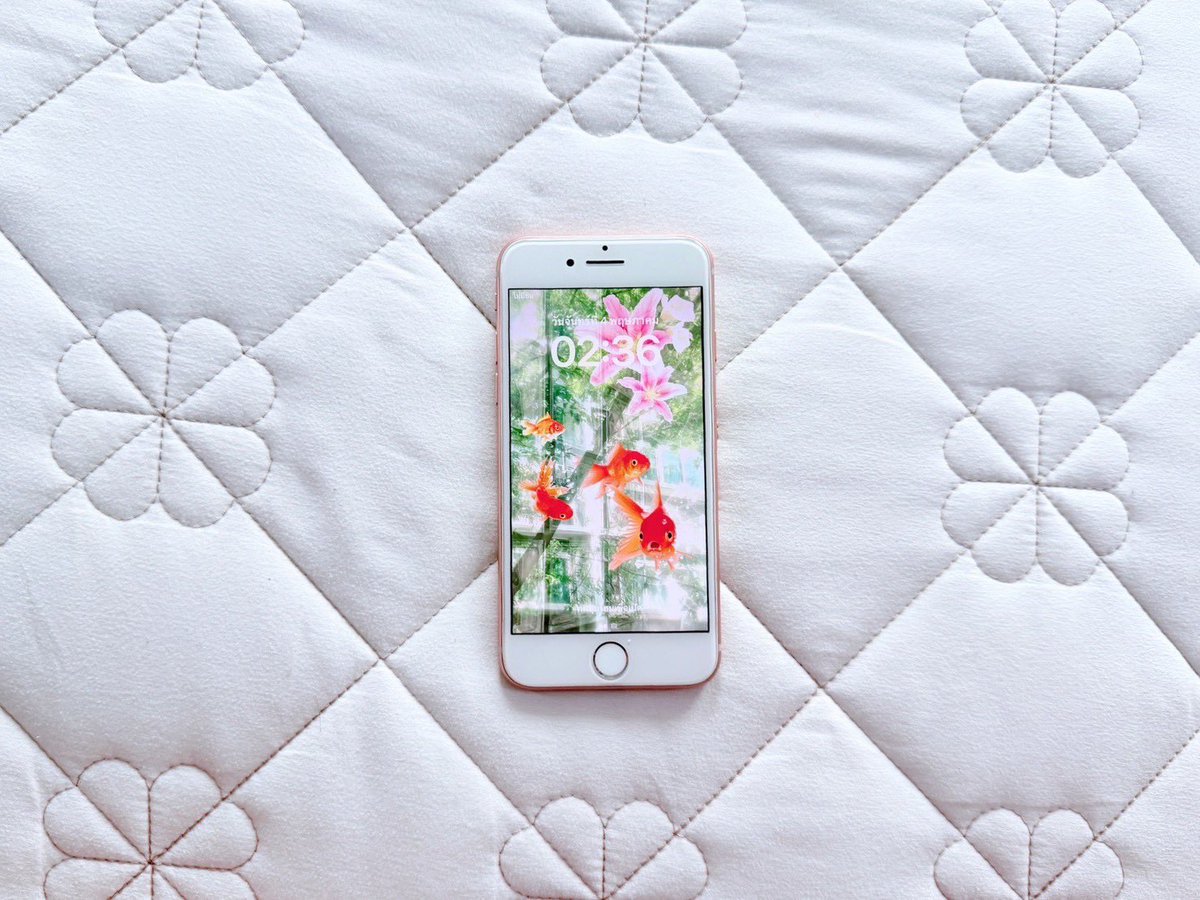 pptqoy's tweet photo. iPhone 8 256gb🌸🍀

𓈒 2,320บาท Free shipping

𓈒WiFi -Sim
•ไม่ติดไอคลาว 
• สแกนกดได้ แบต75
• รีเซ็ตได้

แถม  เคส สายชาร์จ ของจุกจิก

( ประกัน 10 วัน 🏝♥️ )

#ส่งต่อไอโฟน #ไอโฟน5s #ไอโฟนมือสอง  #ไอโฟน #ไอโฟน5 #ไอโฟน6 #ไอโฟน7 #ไอโฟนse1 #ไอโฟนมือสองราคาถูก https://t.co/qzNeOre55Z