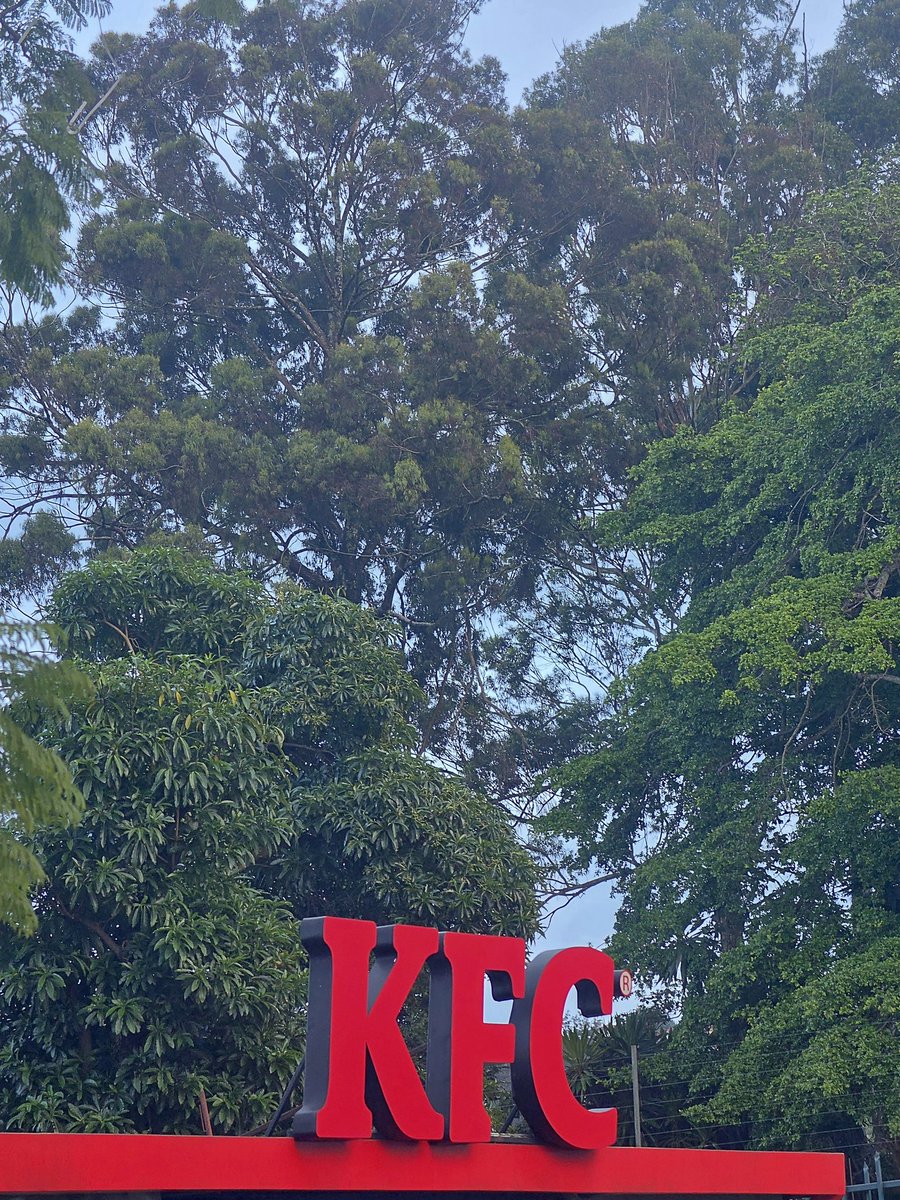 Mwenda tweet media