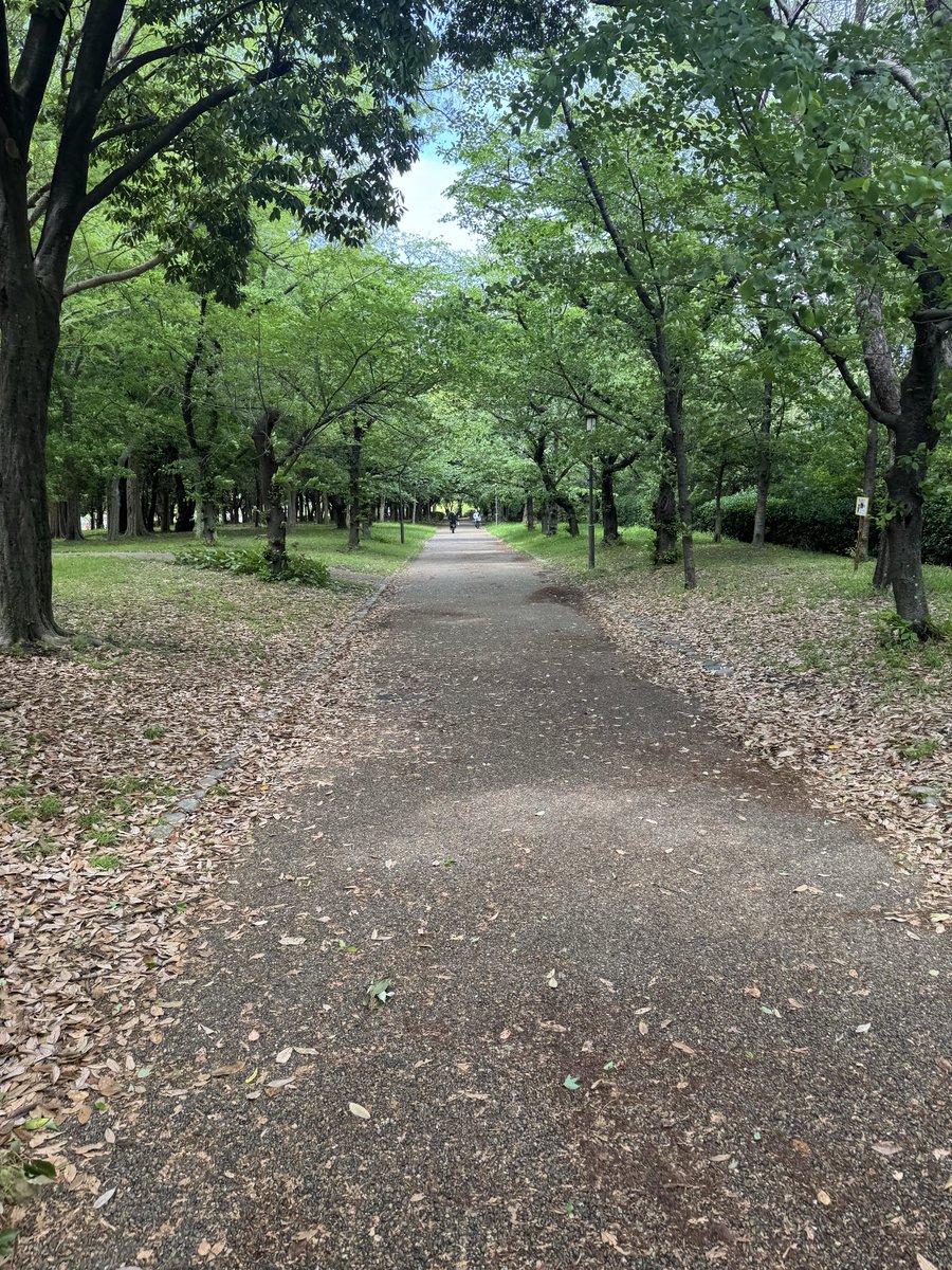 林檎⏸ tweet media
