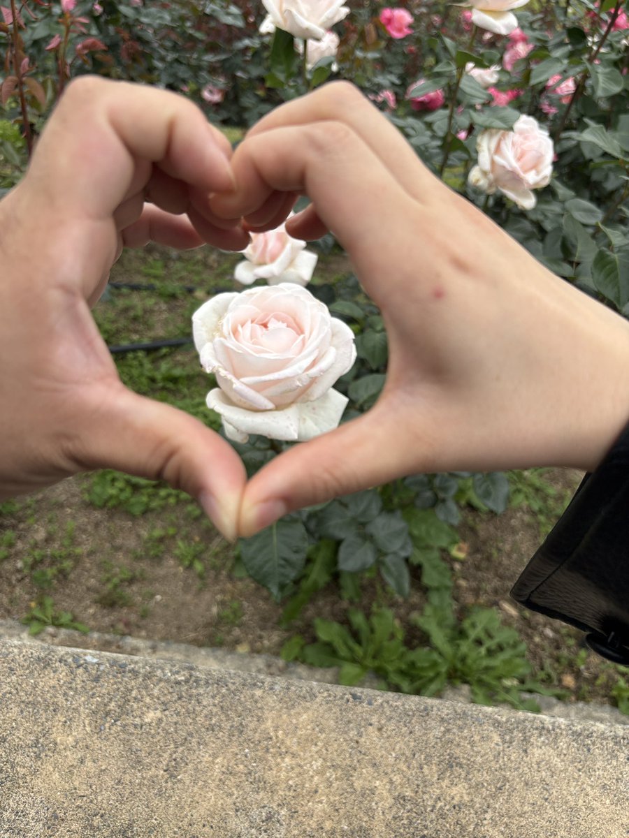 anim_arik's tweet photo. 8年になりました❤️ https://t.co/NqxfkSqg7f