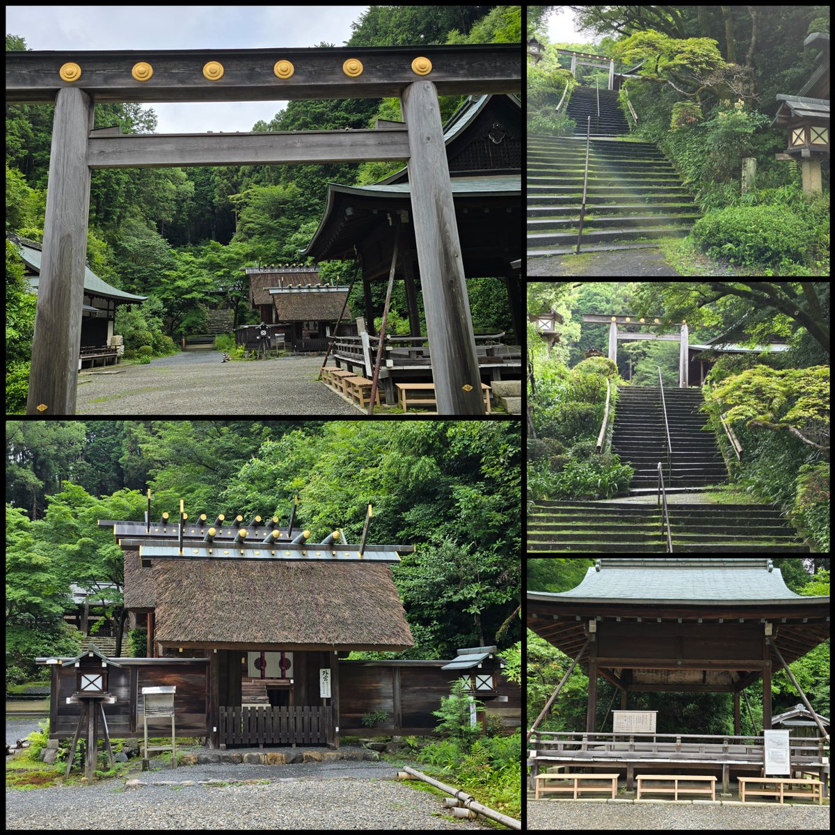 JIBWJud7MG9RSxZ's tweet image. #every 
#日向大神宮

2年前に行ったなぁ！

思ったより歩いた覚えがある。
懐かしい(*･ω･)

琵琶湖の神社気になるな。
竹生島神社か。
機会あるかな？