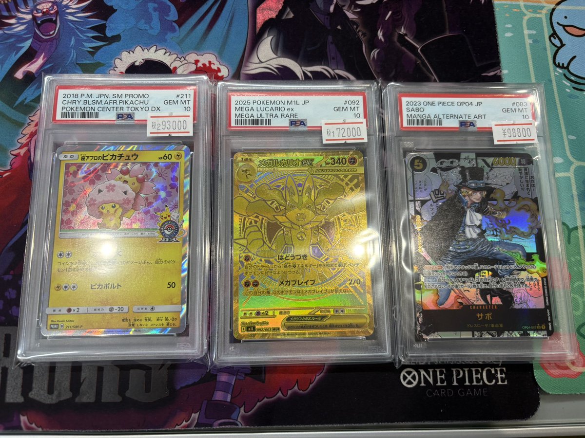 TCG専門店 トレカブルー TOREKA BLUE 福岡店 tweet media