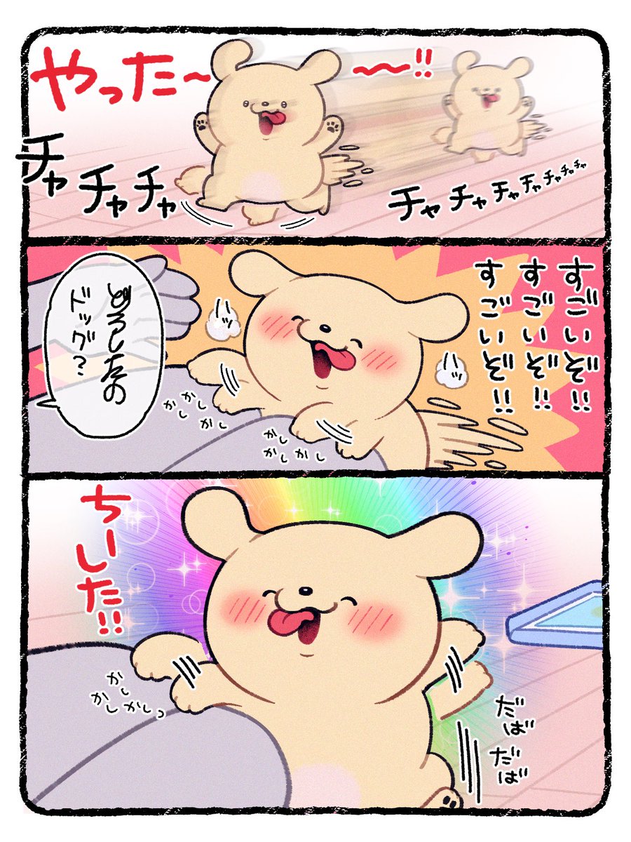 犬の次にえらいわにゃ🌈🐶 tweet media