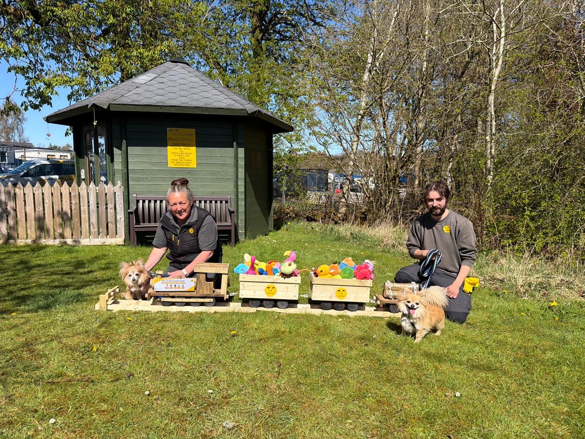 DogsTrust West Calder (Edinburgh) and Dundee tweet media