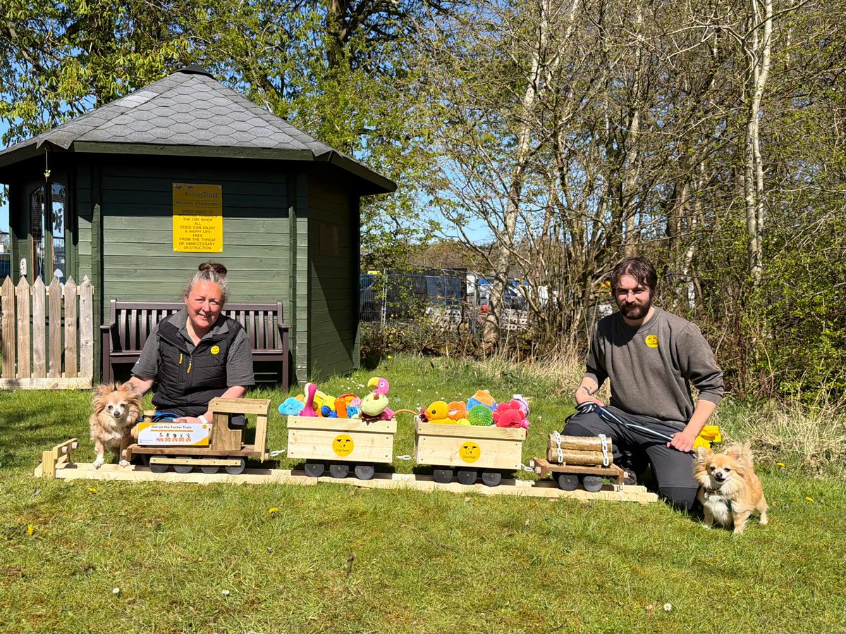 DogsTrust West Calder (Edinburgh) and Dundee tweet media