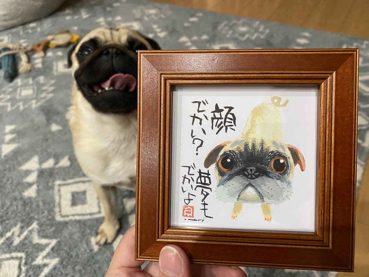 パグッズ