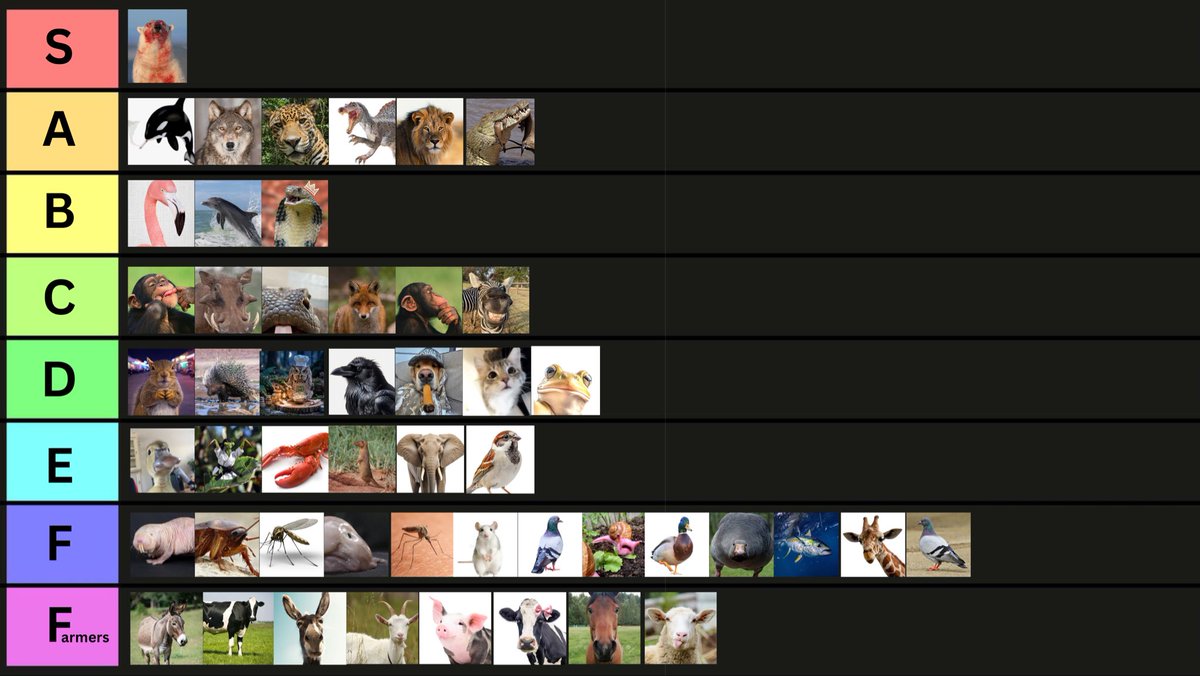 Polar Bear tweet media
