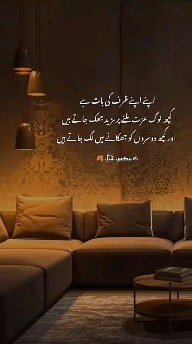 Anila sheikh tweet media