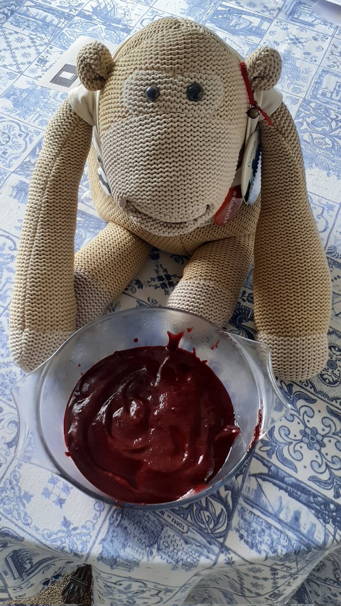 Maisie Monkey tweet media