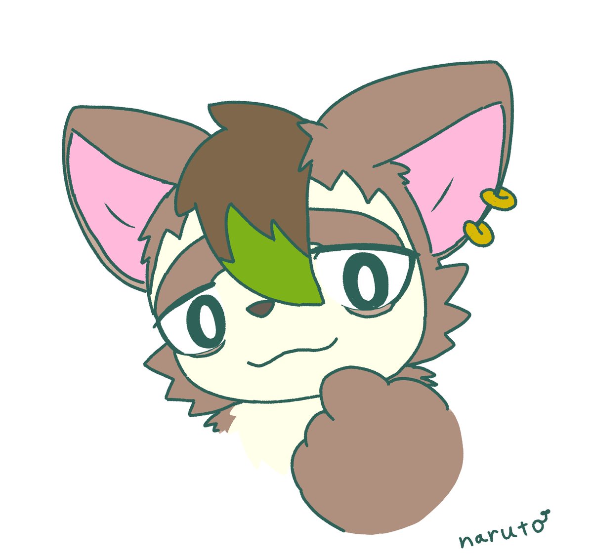 力わうそ tweet media