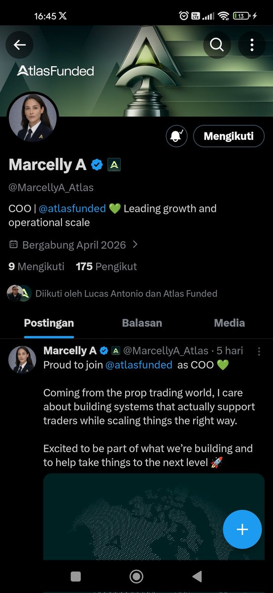 MOONBALL 💤 tweet media