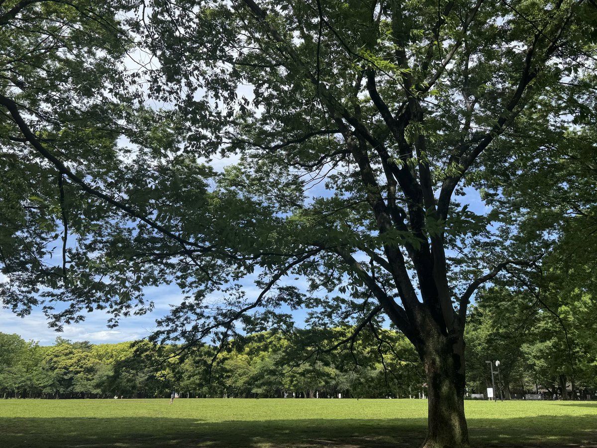 KiharaTokyo's tweet image. Today’s opening hours 
11:00-19:00

本日もたくさんのご来店ありがとうございました〜

明日こどもの日も通常営業🎏
おでかけ日和になりそうですね！
代々木公園周辺にお越しの際には、少し足を伸ばしてキハラトーキョーにも是非お立ち寄りください。

#有田焼
#波佐見焼
#porcelain 
#madeinjapan
