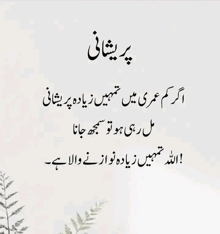 Anila sheikh tweet media