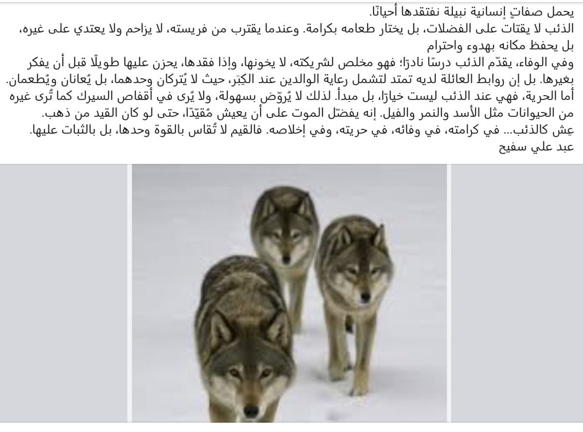 ABBAS ALABOUDY tweet media
